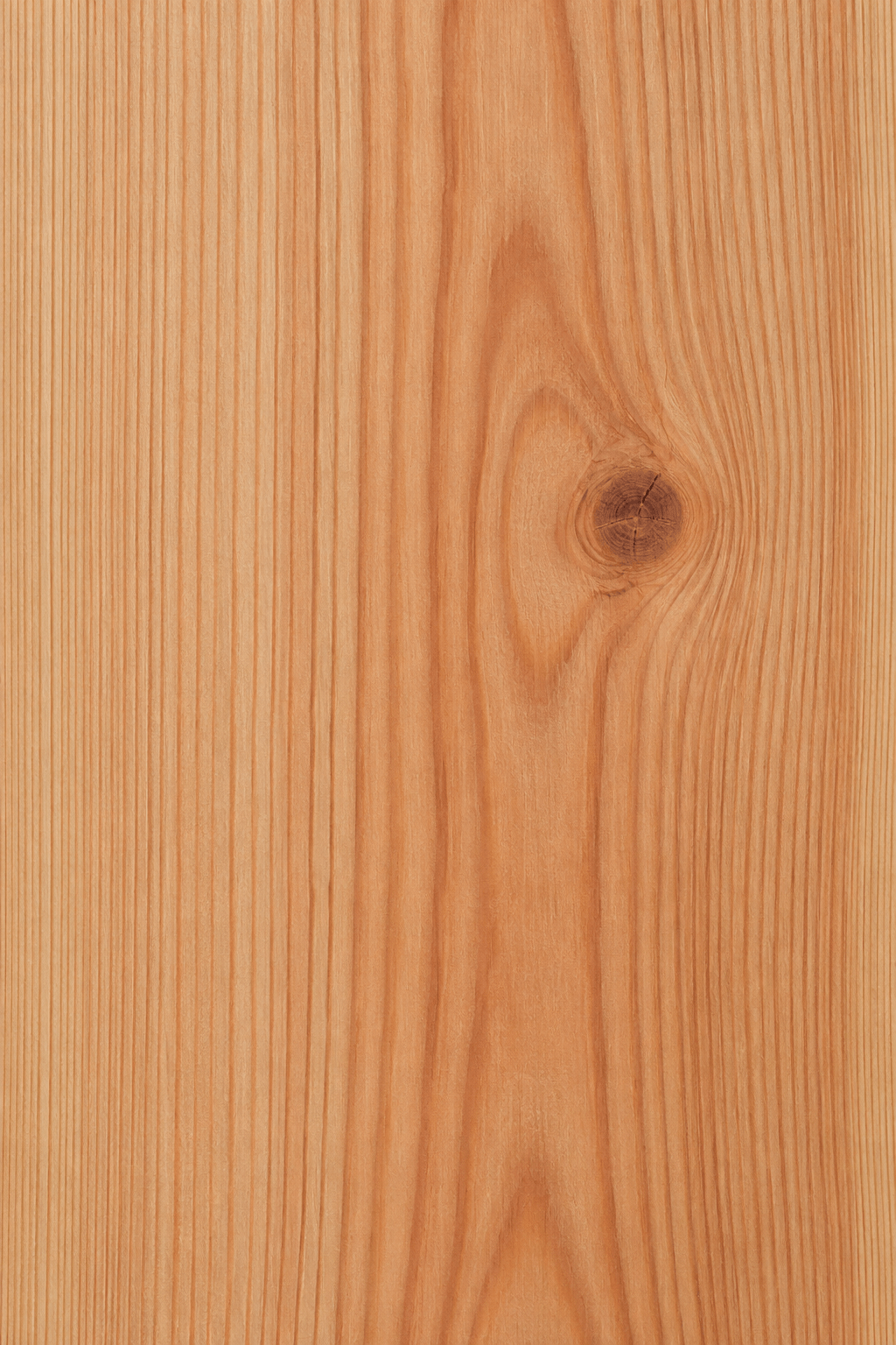 Illustrative rötlich-warme Holzmaserung von Douglasie.